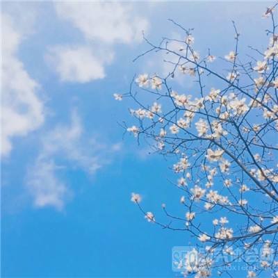 天使纪元折扣平台下载